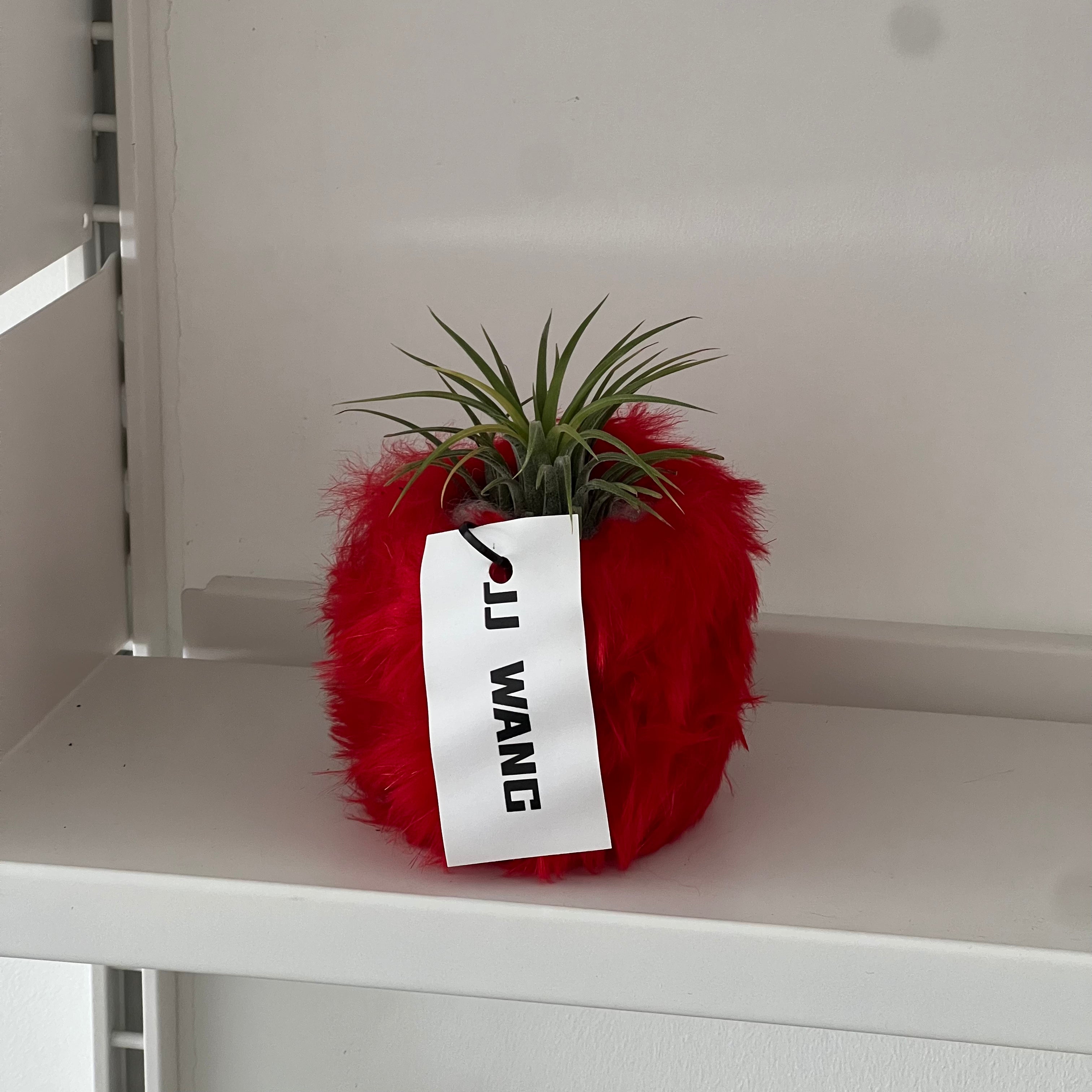 Fur plant vase
