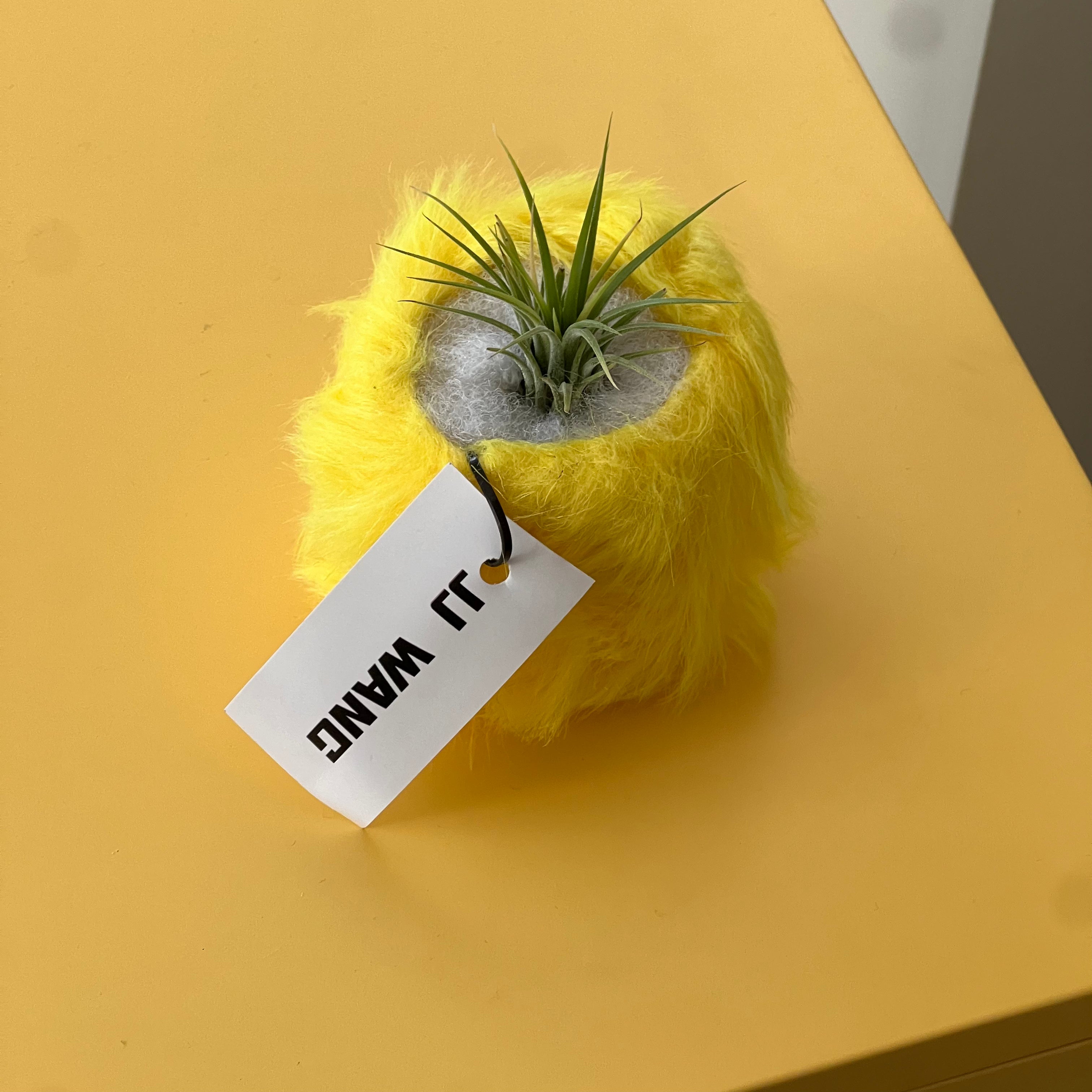 Fur plant vase