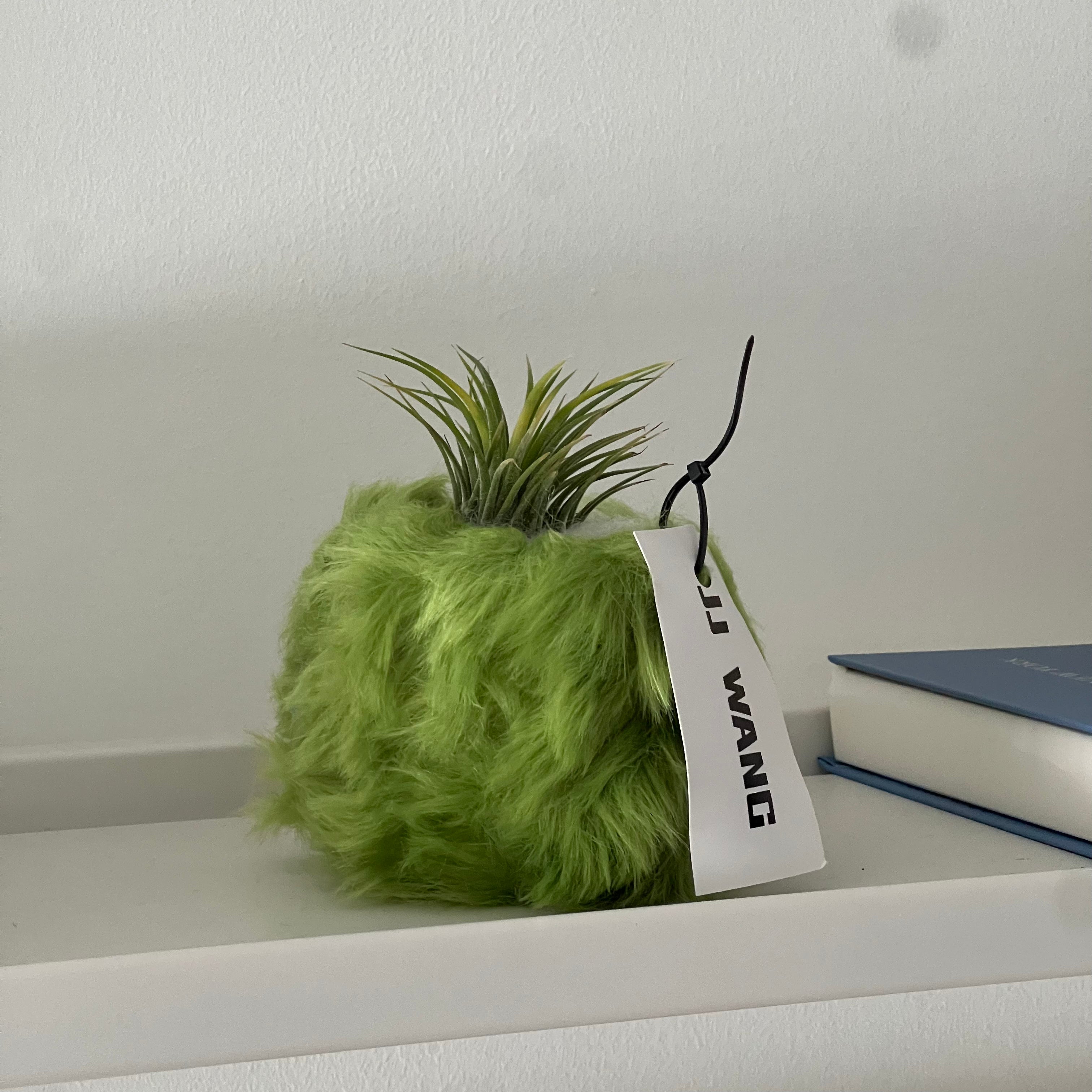 Fur plant vase