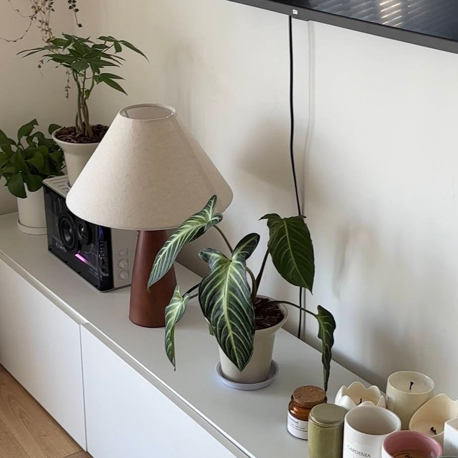 Casquette lamp