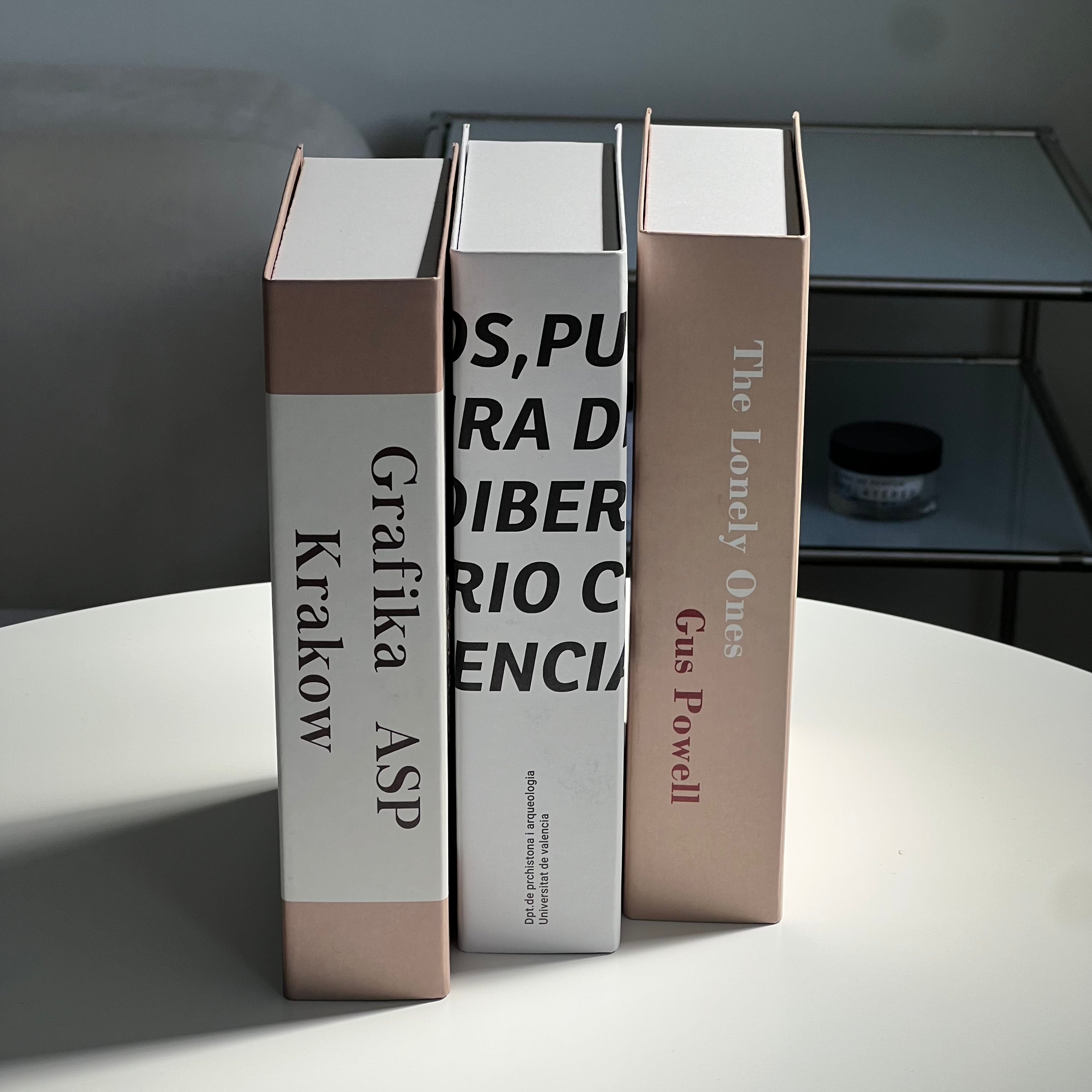 【即納】F118 English display book