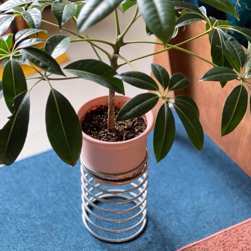 Spring plant vase