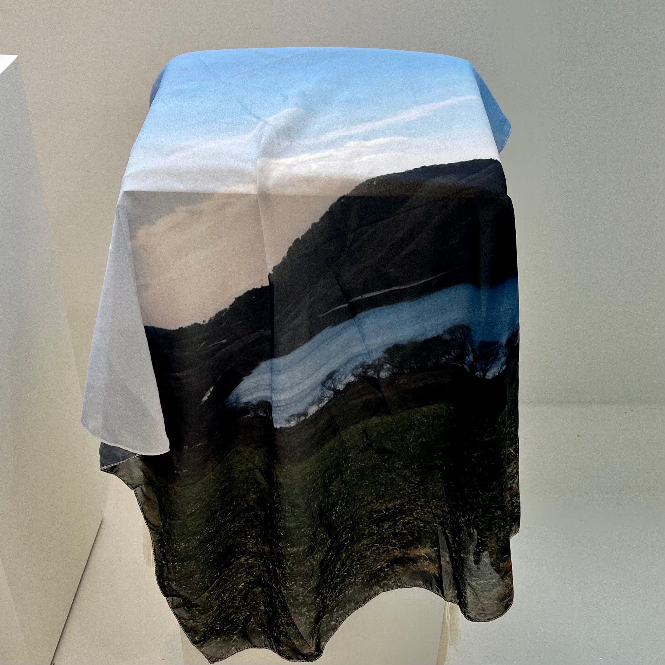 【予約】Fabric poster
