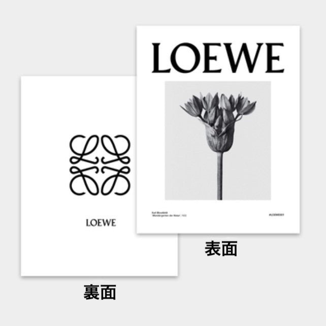 Display MAG