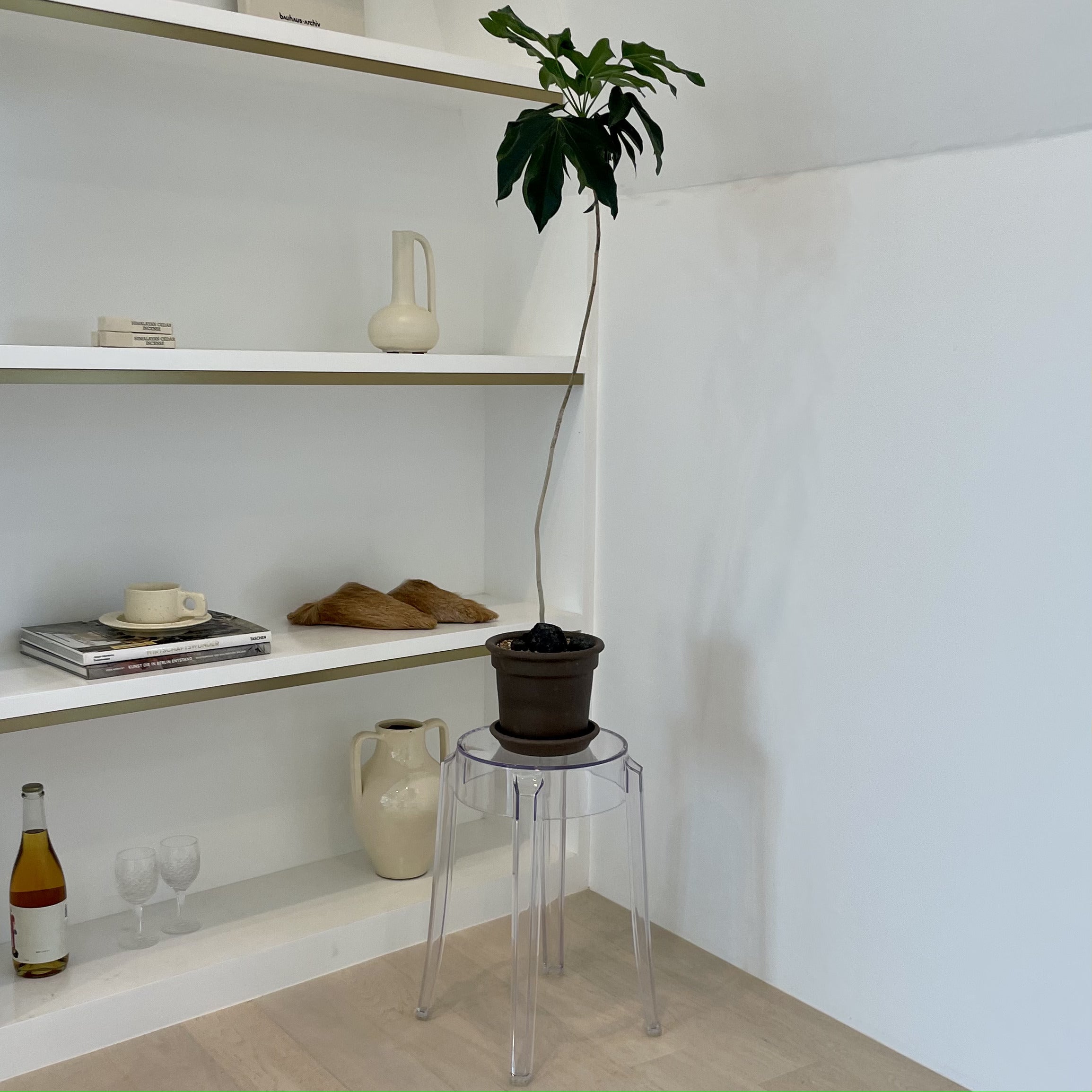 C17 サークルクリアチェア