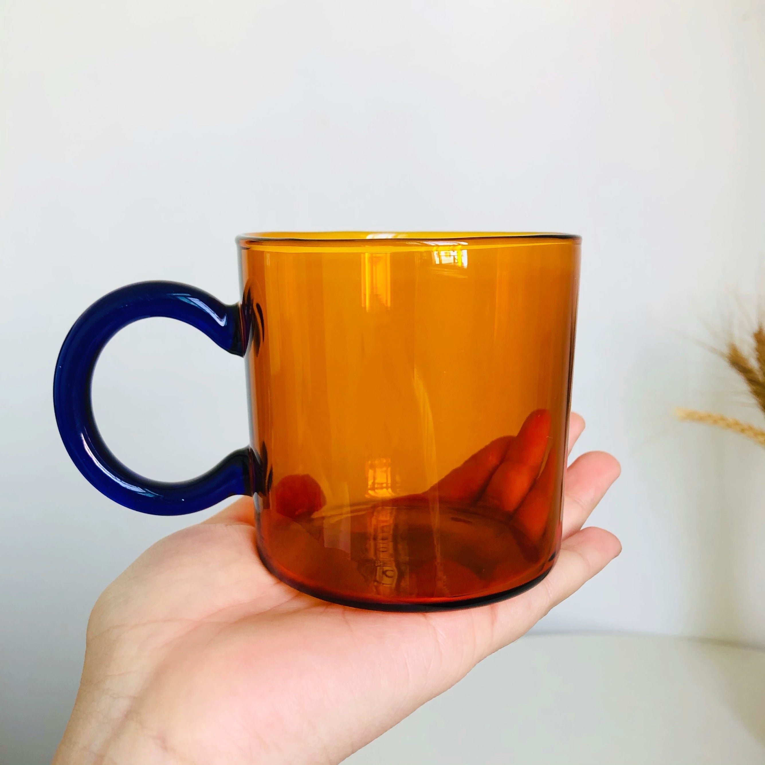 Bicolor clear mug cup