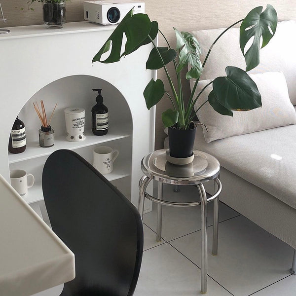 C19 Stainless stool