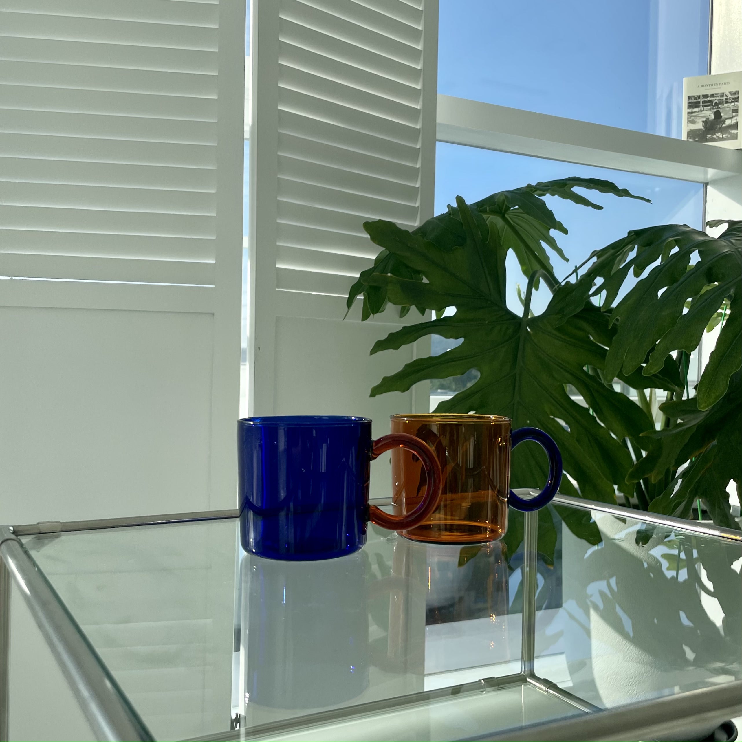 Bicolor clear mug cup